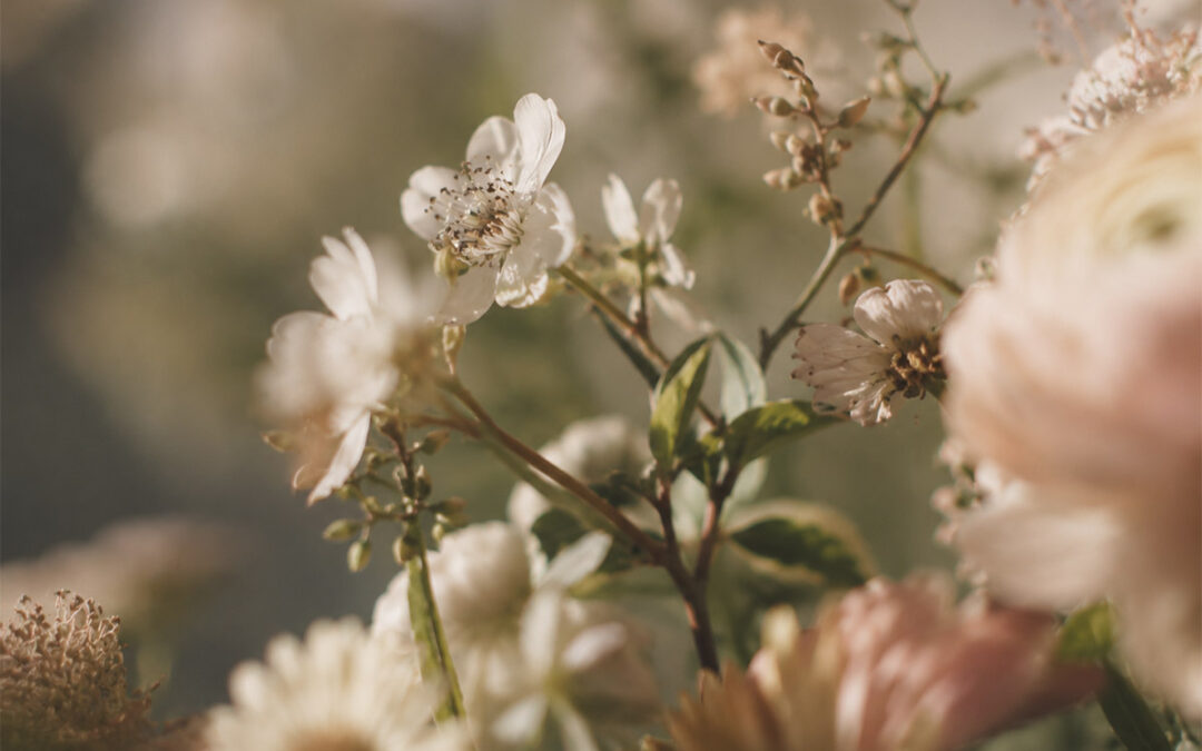Tendencias aromáticas: Los aromas más punteros para esta primavera 2024