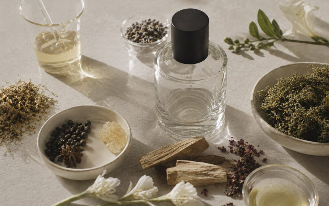 AROMA Y CIENCIA:¿CÓMO LLEGA EL AROMA A LA MENTE DEL CONSUMIDOR?AROMA Y CIENCIA: