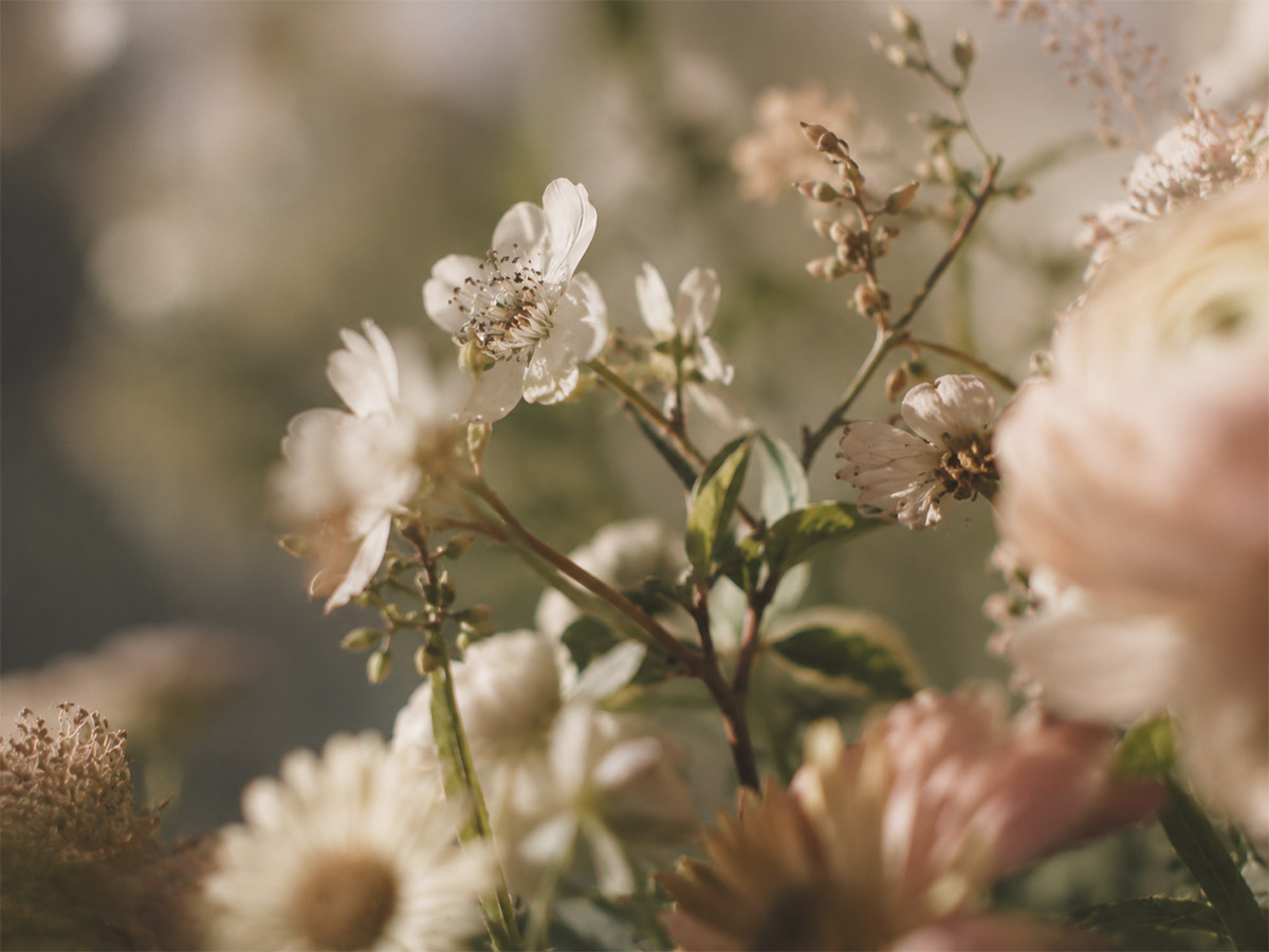 EL AROMA DE LA PRIMAVERA:¿A QUÉ HUELE LA ÉPOCA MÁS FLORAL DEL AÑO?